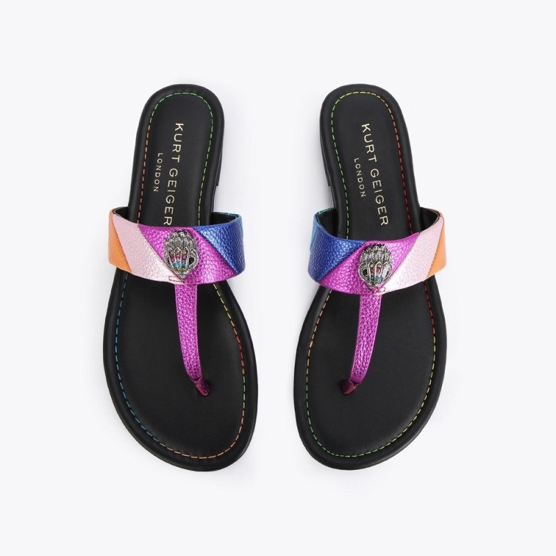 Kurt Geiger London Kensington Women's Flip Flops Multicolor | Malaysia GX11-193