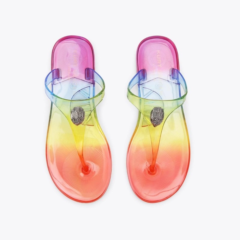 Kurt Geiger London Maddison Women's Flip Flops Multicolor | Malaysia ZZ49-138